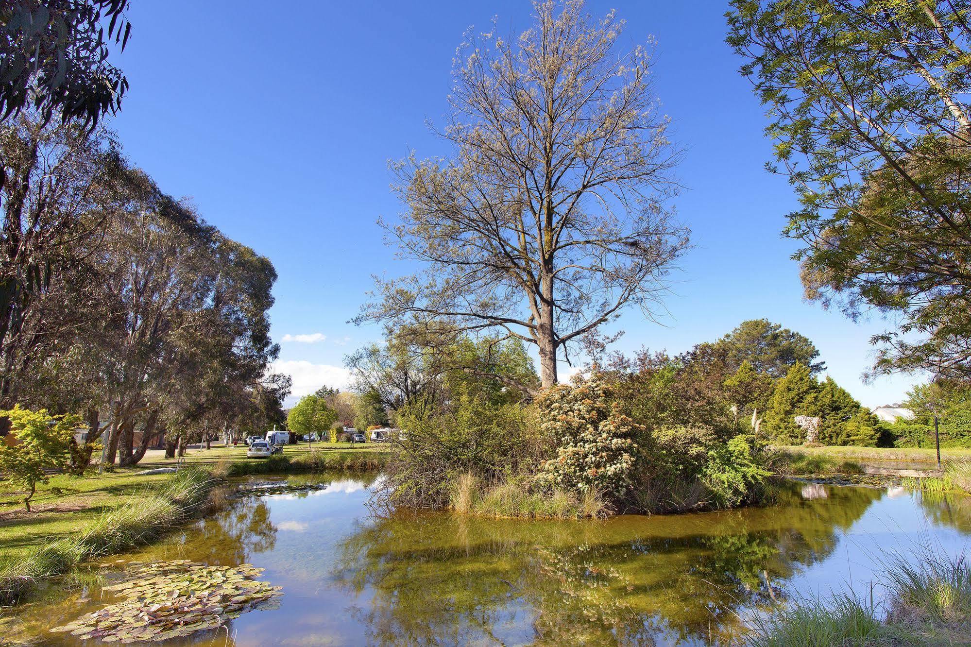 Armidale Tourist Park Hotel Kültér fotó